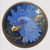 Cockcoin_ADA