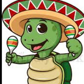 GroovyLoveTurtle (@GroovyTurtle) | Stocktwits