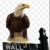 DblEagle27