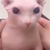 BingusCat