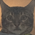 Chotchkiesflair37