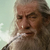 BoloTheGrey