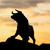 Thebull4604