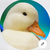 WeFindBitcoin