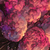 Obliv_Haze_69