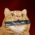blinkercheckpoint