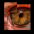 CareToSee