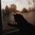 PhaseTrack_10