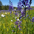 FlowPoint_08