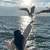 juliawaters99