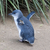Waddling