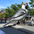 silentsparrow