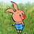 piglet1