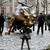 Bullandbull1234
