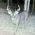Easttenn988