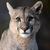 reck78