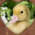 power_duckling007