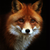 meowfox