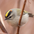 GoldenCrownedKinglet
