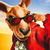 kangaroojaack