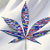 FourTwenty420