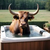 Hottubtime