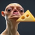 goudaconjo