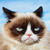 TheRealGrumpyCat