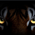 StealthTiger