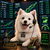 Stockslayer6900