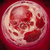 Bloodmooncapital