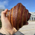 WesterlyBread