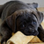 Michael_1111