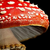 CosmicShroom