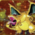 1stEditionCharizard
