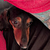 TheDachshund