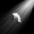 liteprofitl_b