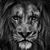 Traders_king