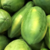 investpapaya