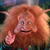 Gwildor