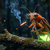 Shrewd_Firefly