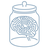 braindonor