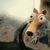 Scrat50