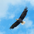 skyhunter