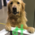 Moolah_Retriever