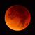 Thebloodmoon1071