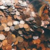 HumblePenny