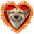 blazingheart4u