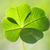 Greenandblessed