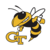 yellowjackets